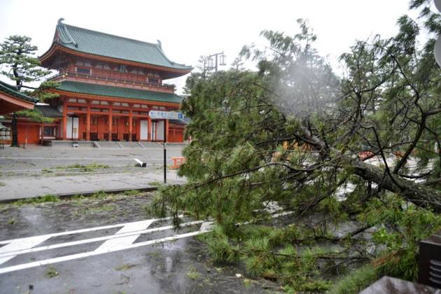 Typhoon Jebi leaves trail of destruction across Japan
