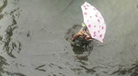 Hardlook — Why Delhi finds itself facing the same waterlogging crisis year after year