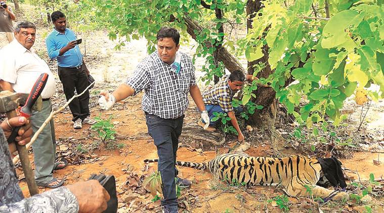 Conservation from the Margins, wildlife in India, Book review, Indian Express
