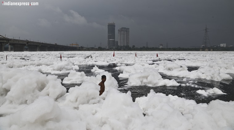 'Discharge of untreated industrial effluents, sewage major source of river pollution'