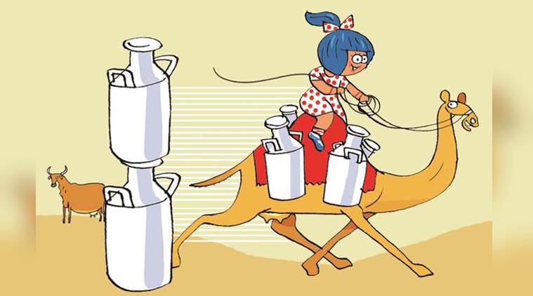 This Diwali, Amul to launch fresh ‘deodorised’ camel milk in Ahmedabad