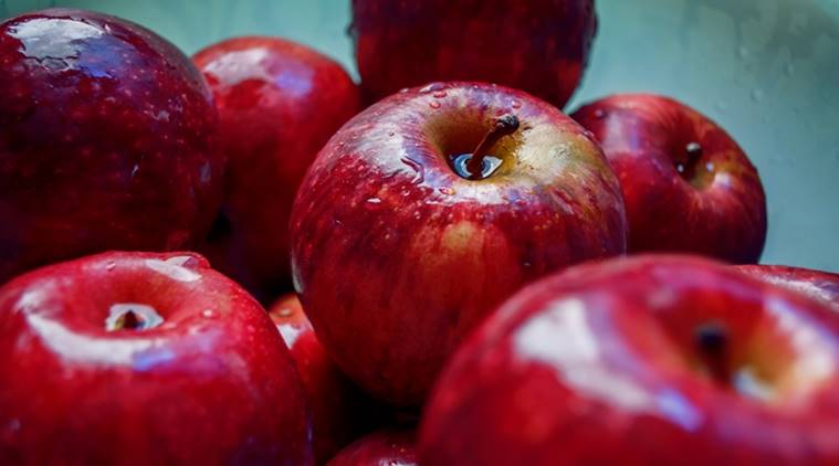 amit shah, apple growers in J-k, india news, j&k apples, himachal apples