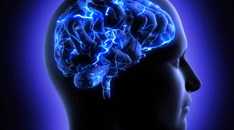 brain health, brain study, brain study latest, brain study on choice, brain studies latest news, indian express, indian express news