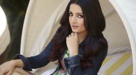 Celina Jaitly return to Bollywood