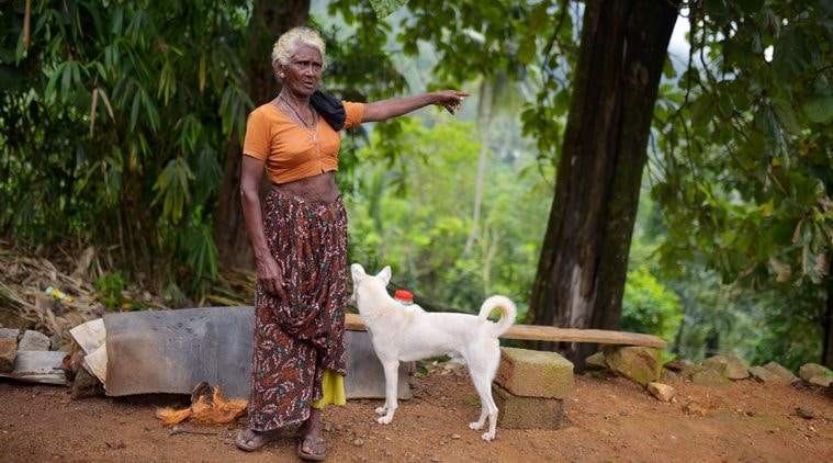 Sabarimala, sabarimala row, Sabarimala women's entry, Attathodu, Attathodu tribal residents, Lord Ayyappa, kerala news, Indian express