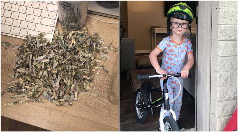 Toddler shreds over ,000, child shreds parents saved money, child shreds money, viral tweet