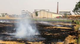 crop burning 759 stubble burning, stubble burning in punjab, steps against stubble burning, reduction in stubble burning, farmers' awareness on stubble burning, awareness against stubble burning, punjab government campaign, indian express