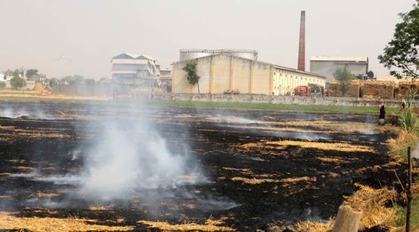 Over 50% fall in stubble burning so far, but worst is yet to come