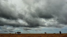 Cyclonic storm to bring heavy rainfall to TN-Andhra coast on November 15