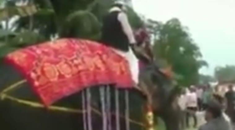 Deputy Speaker of the Assam Legislative Assembly Kripanath Mallah fell off from an elephant during a visit to his constituency on Sunday. (ANI)