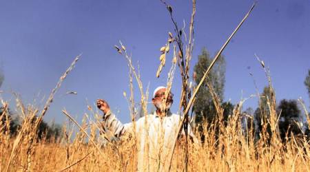 Farmer issues, farmer suicides, land acquisition law, UPA government, NAPM, Madhuresh, an NAPM member, Indian Express     