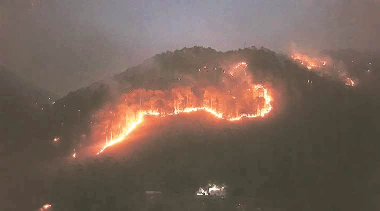 ‘60% districts in India affected by forest fires each year’: Report