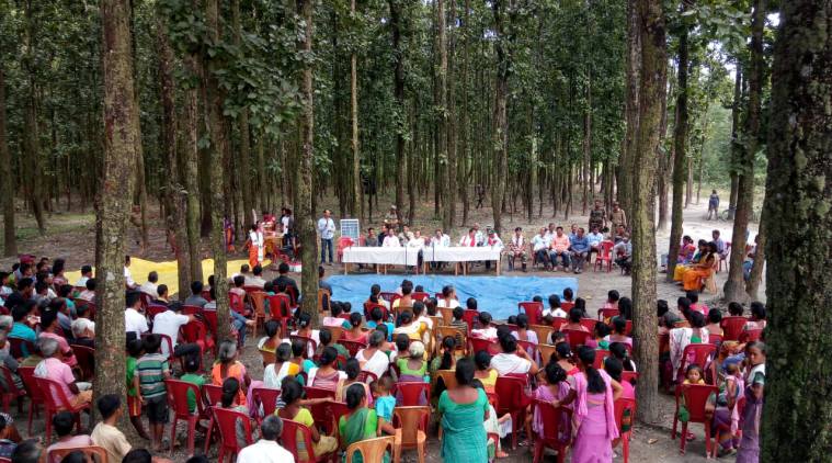 Assam villagers vow to protect their ‘pride’: the agile, arboreal, and ...