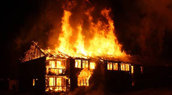 man lights house on fire, man sets parents house on fire, man Man sets parents house on fire trying to kill black widows, spider caused fire, viral story, bizarre, house on fire story, indian express, indian express news