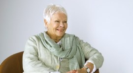 jude dench joins the cast of cats