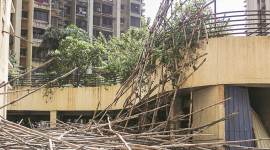 Thane, Thane scaffolding collapse, thane highrise scaffolding collapse, workers injured, indian express