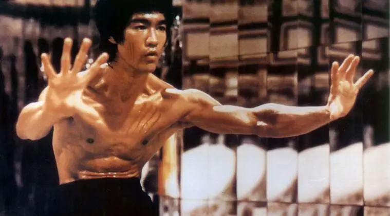 bruce lee fight videos tamil