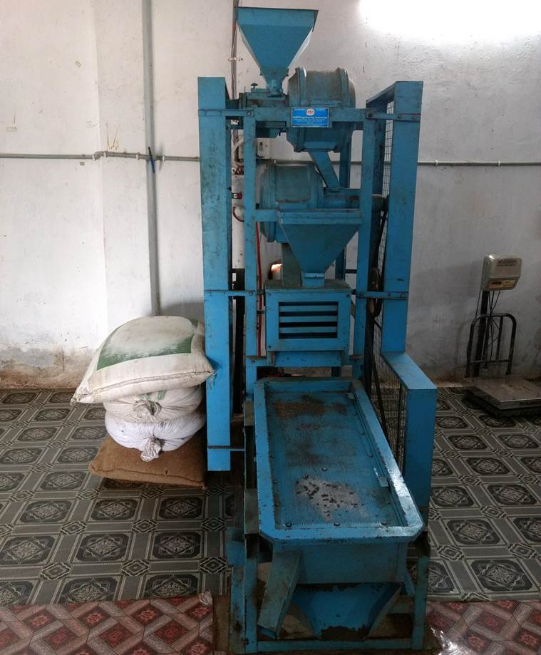 ‘Forgotten’ Kodo-Kutki millets on a comeback trail in this MP tribal ...