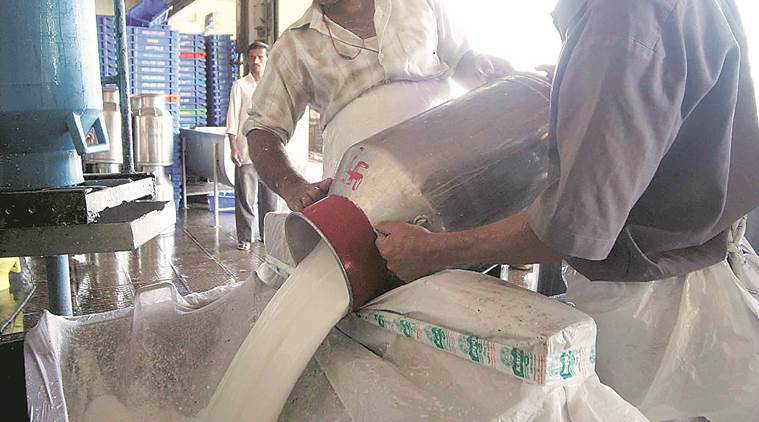 Milk price, Milk price today, Maharashtra drought, Maharashtra milk prices, Maharashtra milk rate