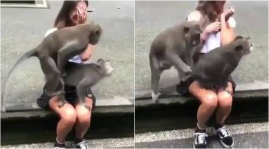 Monkey Porn Videos With Women Full Length - VIDEO: 'Monkey business' leaves female tourist red-faced in Bali | Trending  News,The Indian Express