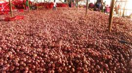 Is food inflation round the corner?