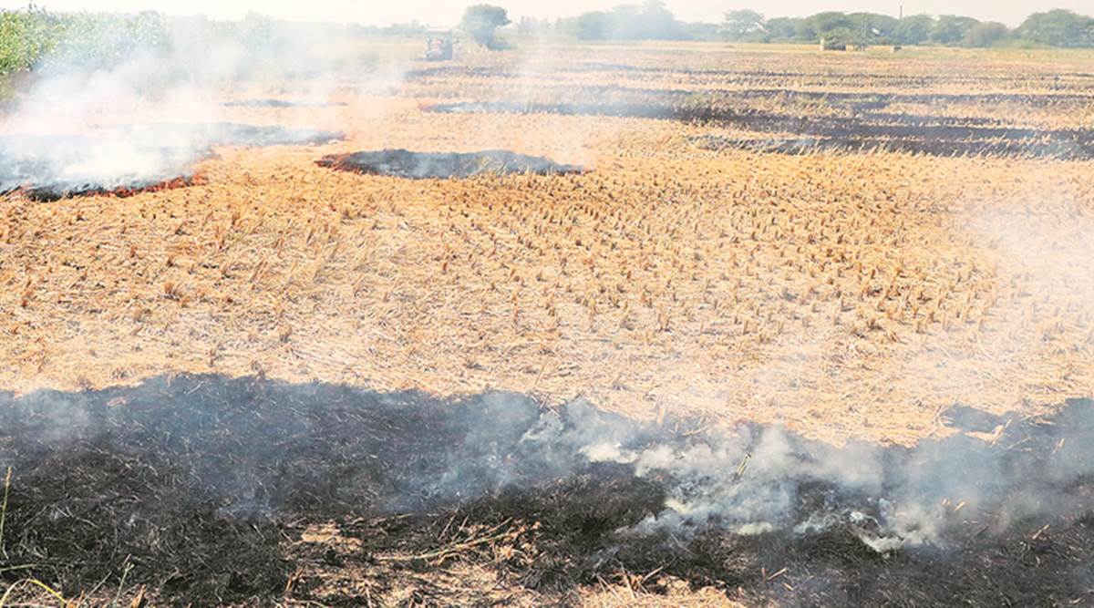 Stubble burning, stubble burning in Punjab, Punjab Pollution Control Board, pollution, Pollution in Delhi, Indian Express
