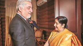 Shanghai Cooperation Organisation meet: No thaw in India-Pak freeze, Sushma Swaraj underlines terror threat