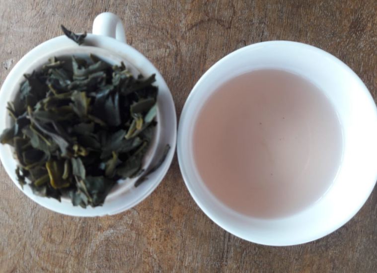 Purple Tea. Arunachal Pradesh, Donyi Polo Tea Estate