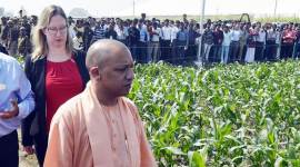 After record wheat procurement in UP, Yogi says drew inspiration from Chhattisgarh
