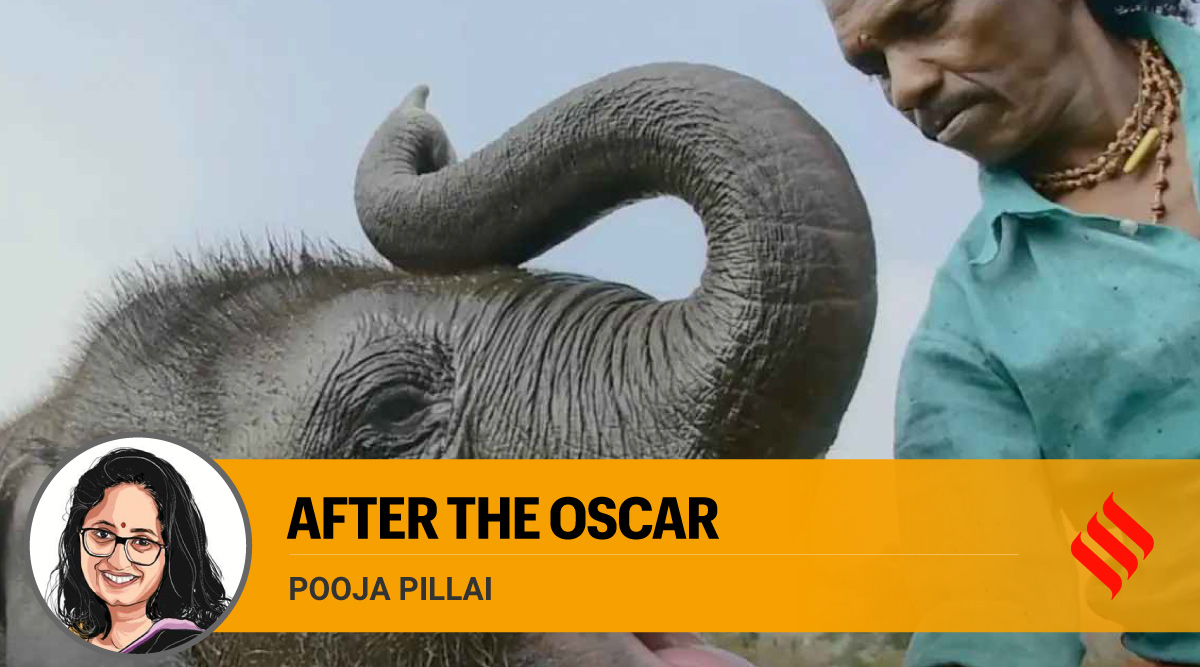 Oscar for ‘The Elephant Whisperers’ could make the path for other