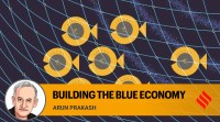 Currently, a survey on consumption expenditure is being canvassed by the NSO which again follows a completely new methodology and schedule. While it may provide another set of estimates of consumption expenditure, it is unlikely to help resolve the poverty debate. (C R Sasikumar)