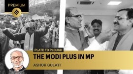 In MP, where the BJP’s win is most astounding and decisive, it is being said that the promise of giving Rs 1,250/woman/month, under the Ladli Behna scheme has been a critical factor in swinging women's votes towards the party. (Express File Photo)