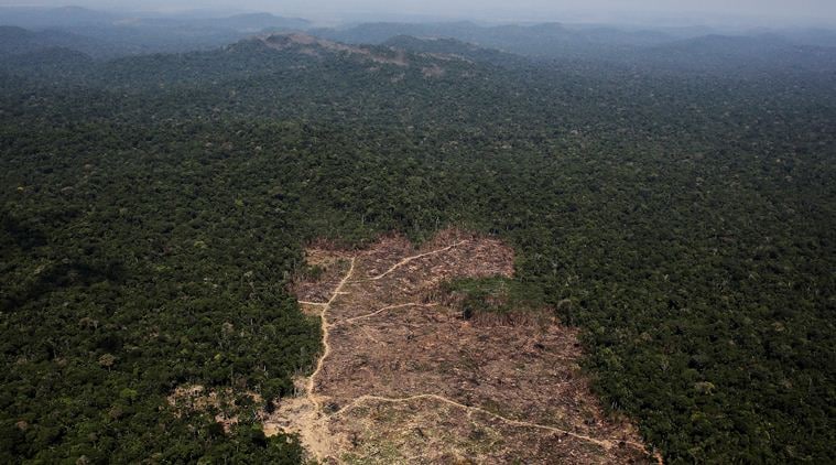 Deforestation in the Brazilian Amazon reaches decade high