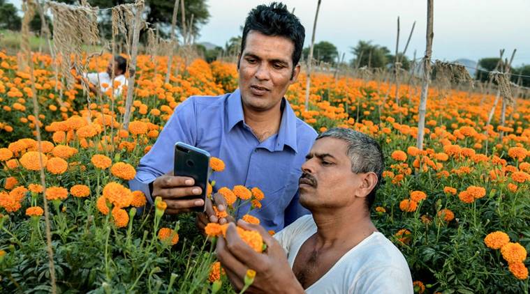 how whatsapp is changing the way we eat food, whatsapp food community, food groups, what we eat, indian express, indian express news