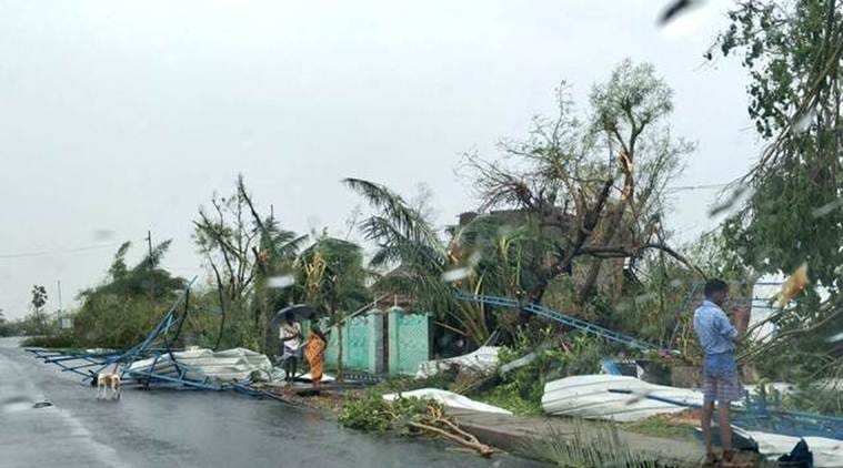 Cyclone Gaja: The storm leaves several deaths and heavy rain forecast for the next 24 hours. 