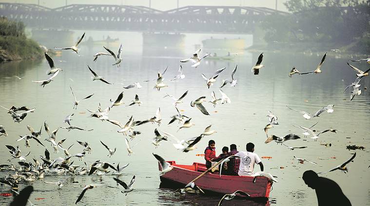 Delhi: Air quality hovers in severe zone, could get fouler, foggier today