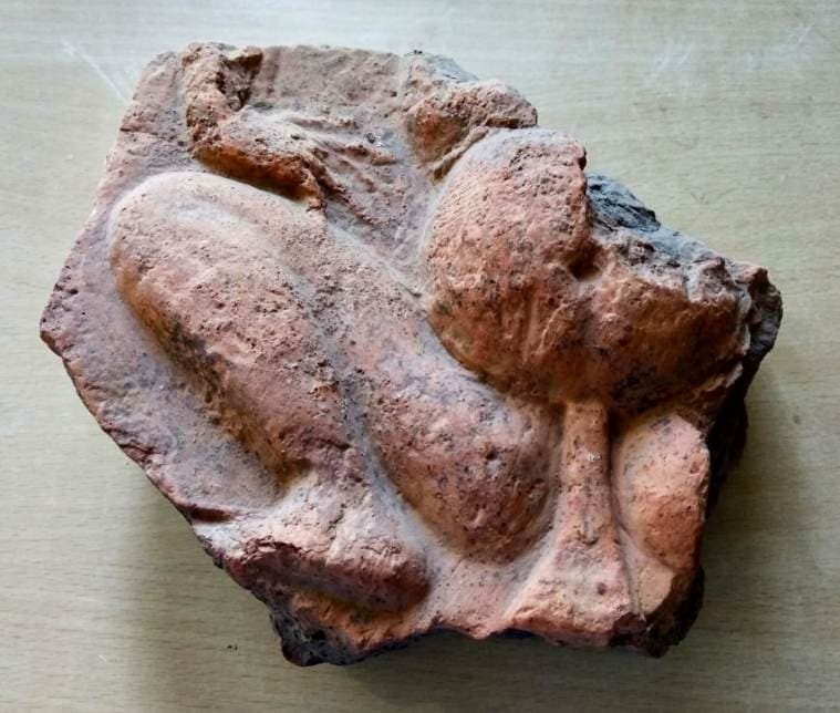 Dhubri District Museum, Assam