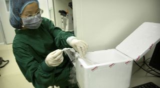 Genetically modified babies, China DNA modified babies, DNA modification techniques, He Jiankui DNA edited babies, gene editing, in vitro fertilisation, GM twins, human cloning, DNA strands, genetic engineering, DNA remodelling, ethics in genetic modification, modified embryos, bioengineering