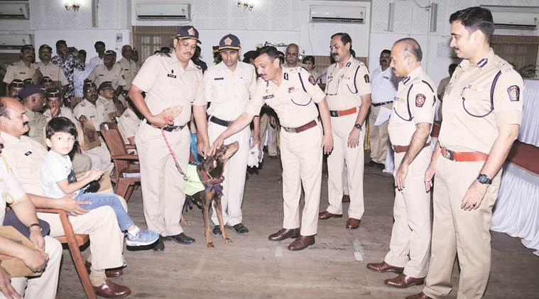 Mumbai: Police dogs leave force after 10 years, accorded same honour as their human counterparts