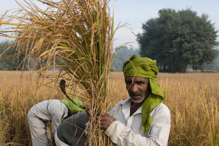 We must do something, says man behind Photographers for Farmers | India ...