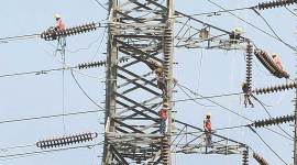 Maharashtra State Electricity Board bill collection centre reopens