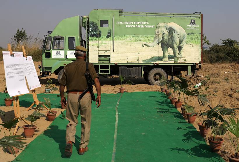 Jumbo leap: India opens first hospital for elephants
