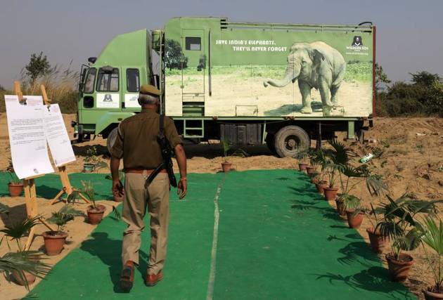 Jumbo leap: India opens first hospital for elephants