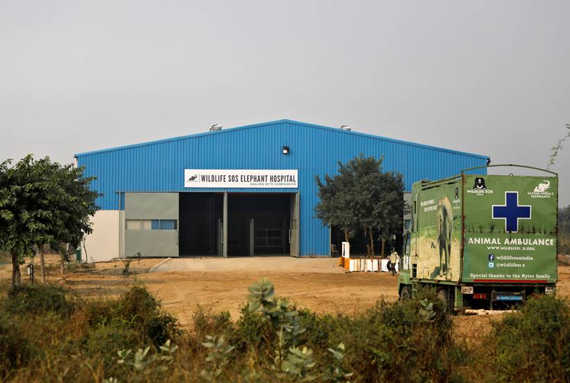 Jumbo leap: India opens first hospital for elephants