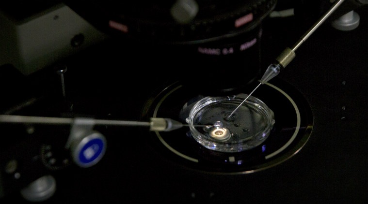 Genetically modified babies, China DNA modified babies, DNA modification techniques, He Jiankui DNA edited babies, gene editing, in vitro fertilisation, GM twins, human cloning, DNA strands, genetic engineering, DNA remodelling, ethics in genetic modification, modified embryos, bioengineering