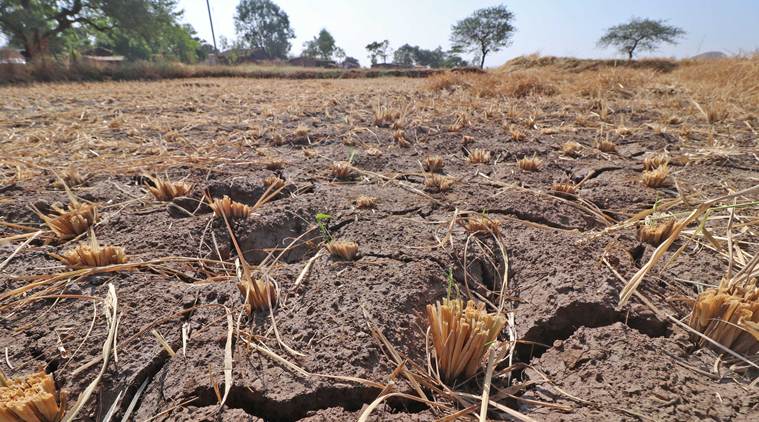 Drought: Central delegation to assess crop damage in Maharashtra | India  News,The Indian Express