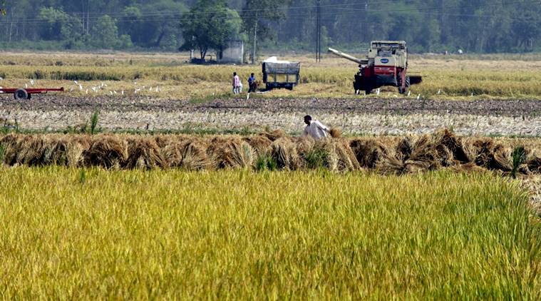 WSU, ICAR, tie-up, farmer income, double, research, innovative practice,