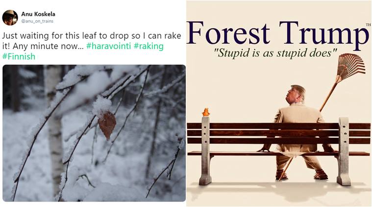 donald trump, california forest fire, finland raking, rake news, trump raking, finland raking forest, viral news, funny news, indian express