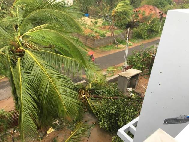 Severe cyclonic storm 'Gaja' makes landfall in Tamil Nadu