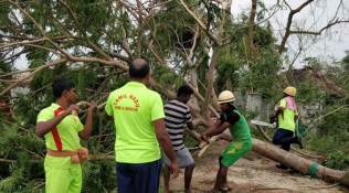 Cyclone Gaja: 7 districts in Tamil Nadu affected, 13 killed
